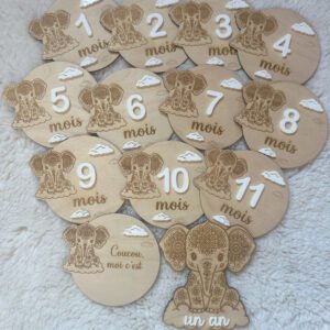 Lot carte étapes éléphant